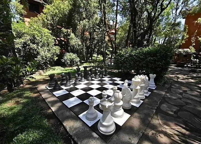 Resort Com Natureza No Centro