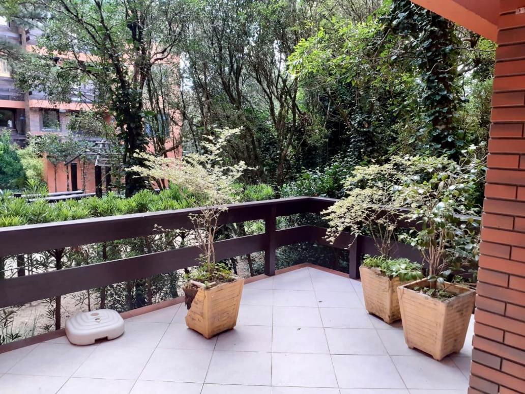 Com Natureza No Centro Apartment